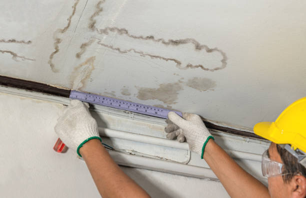Reliable Structural Drying contractor in Montague, TX by Water Damage Irwin